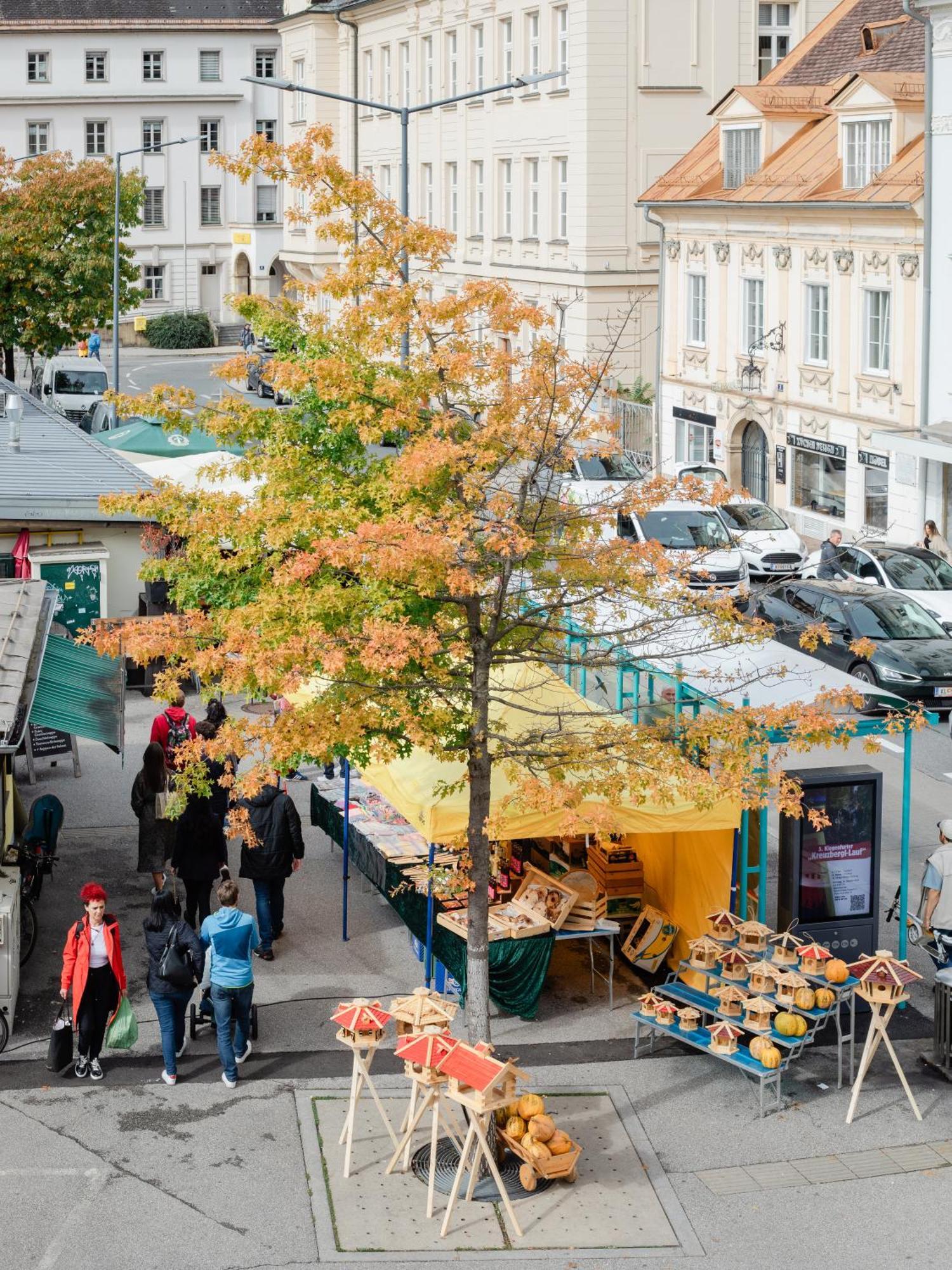 Themarketflat Schoene Im Stadtzentrum Klagenfurt am Wörthersee